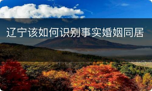 辽宁该如何识别事实婚姻同居