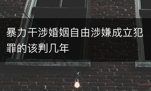 暴力干涉婚姻自由涉嫌成立犯罪的该判几年