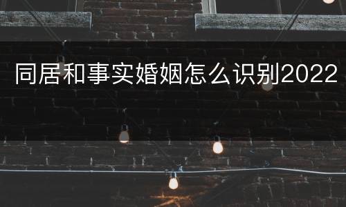 同居和事实婚姻怎么识别2022