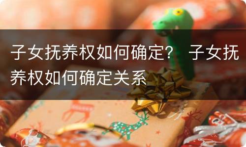 子女抚养权如何确定？ 子女抚养权如何确定关系