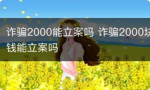 诈骗2000能立案吗 诈骗2000块钱能立案吗