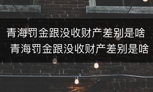 青海罚金跟没收财产差别是啥 青海罚金跟没收财产差别是啥呀