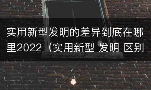 实用新型发明的差异到底在哪里2022（实用新型 发明 区别）