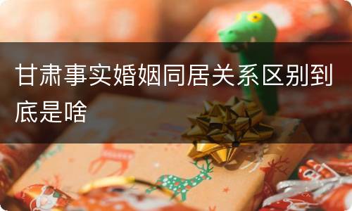 甘肃事实婚姻同居关系区别到底是啥