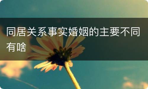 同居关系事实婚姻的主要不同有啥