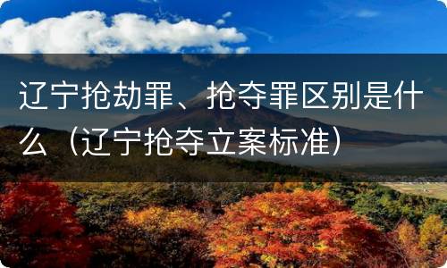 辽宁抢劫罪、抢夺罪区别是什么（辽宁抢夺立案标准）