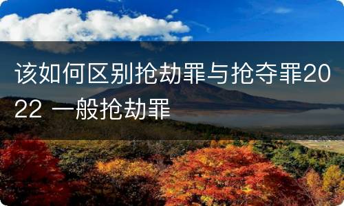 该如何区别抢劫罪与抢夺罪2022 一般抢劫罪