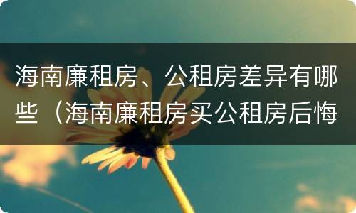 海南廉租房、公租房差异有哪些（海南廉租房买公租房后悔了）