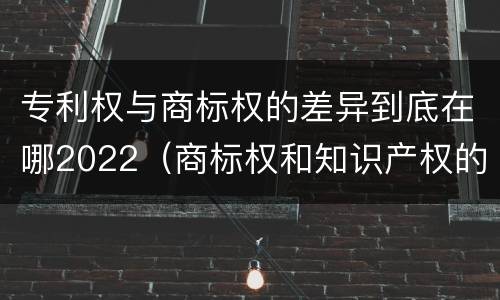 专利权与商标权的差异到底在哪2022（商标权和知识产权的区别）