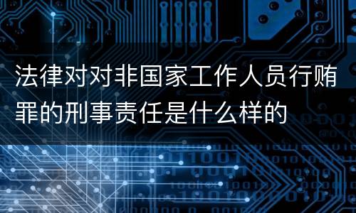 法律对对非国家工作人员行贿罪的刑事责任是什么样的