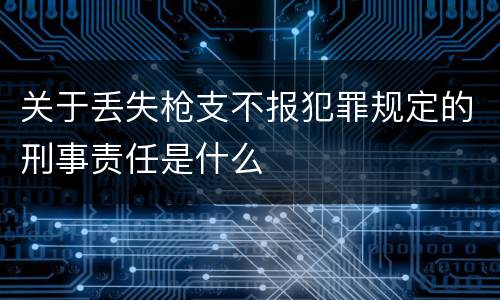 关于丢失枪支不报犯罪规定的刑事责任是什么