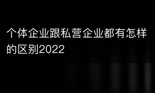 个体企业跟私营企业都有怎样的区别2022