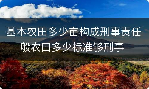 基本农田多少亩构成刑事责任 一般农田多少标准够刑事