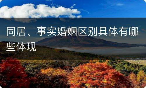 同居、事实婚姻区别具体有哪些体现