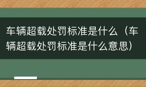 车辆超载处罚标准是什么（车辆超载处罚标准是什么意思）