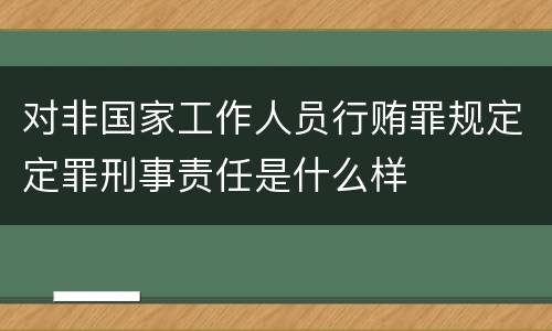 对非国家工作人员行贿罪规定定罪刑事责任是什么样