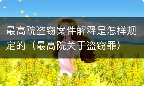 最高院盗窃案件解释是怎样规定的（最高院关于盗窃罪）