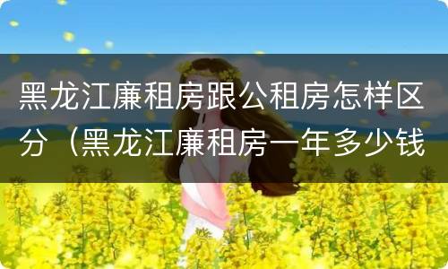 黑龙江廉租房跟公租房怎样区分（黑龙江廉租房一年多少钱）