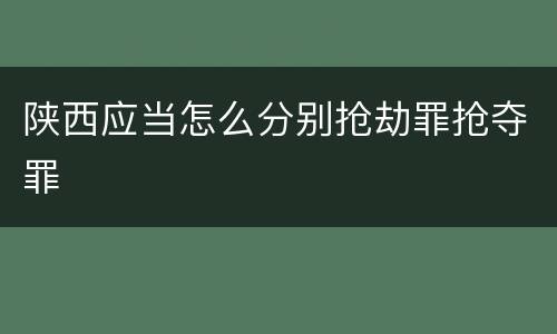陕西应当怎么分别抢劫罪抢夺罪