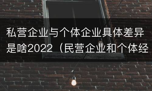 私营企业与个体企业具体差异是啥2022（民营企业和个体经济的区别）