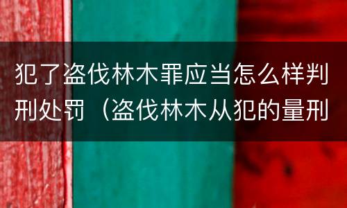 犯了盗伐林木罪应当怎么样判刑处罚（盗伐林木从犯的量刑）