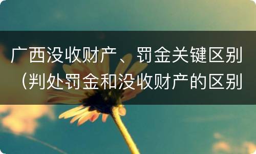 广西没收财产、罚金关键区别（判处罚金和没收财产的区别）