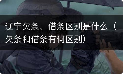 辽宁欠条、借条区别是什么（欠条和借条有何区别）