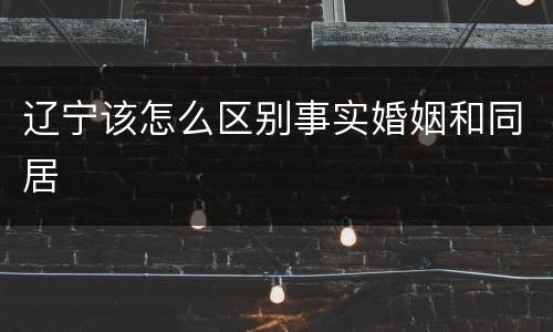 辽宁该怎么区别事实婚姻和同居