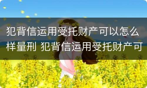 犯背信运用受托财产可以怎么样量刑 犯背信运用受托财产可以怎么样量刑吗