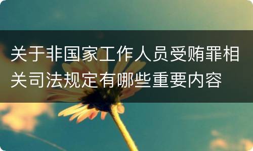 关于非国家工作人员受贿罪相关司法规定有哪些重要内容