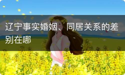 辽宁事实婚姻、同居关系的差别在哪