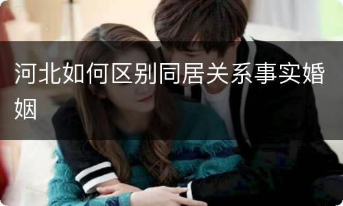 河北如何区别同居关系事实婚姻