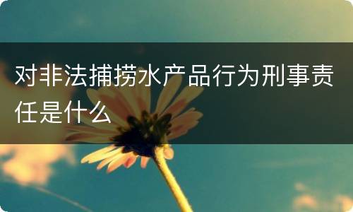 对非法捕捞水产品行为刑事责任是什么