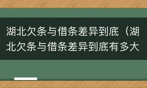 湖北欠条与借条差异到底（湖北欠条与借条差异到底有多大）