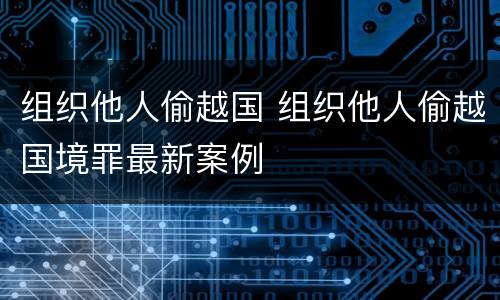 组织他人偷越国 组织他人偷越国境罪最新案例