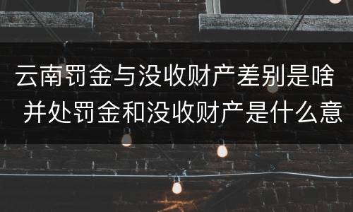云南罚金与没收财产差别是啥 并处罚金和没收财产是什么意思