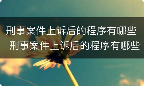 刑事案件上诉后的程序有哪些 刑事案件上诉后的程序有哪些流程