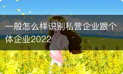 一般怎么样识别私营企业跟个体企业2022