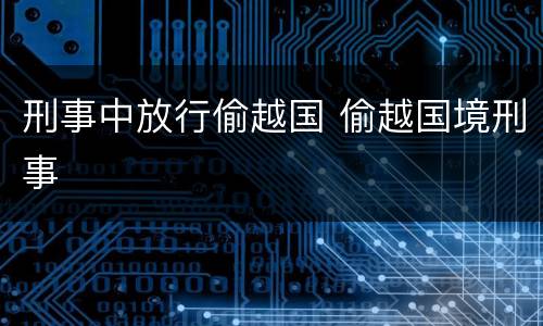 刑事中放行偷越国 偷越国境刑事