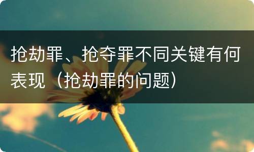抢劫罪、抢夺罪不同关键有何表现（抢劫罪的问题）