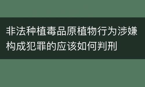 非法种植毒品原植物行为涉嫌构成犯罪的应该如何判刑
