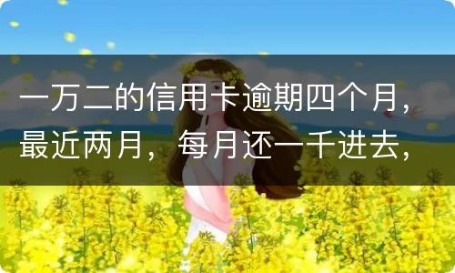 一万二的信用卡逾期四个月,最近两月,每月还一千进去,银行说要起诉,我该怎么办