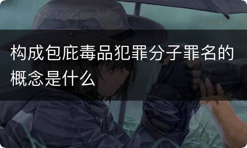 构成包庇毒品犯罪分子罪名的概念是什么