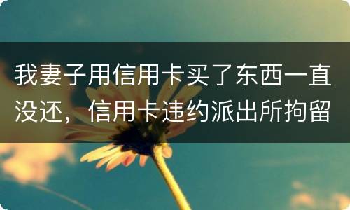 我妻子用信用卡买了东西一直没还，信用卡违约派出所拘留多久