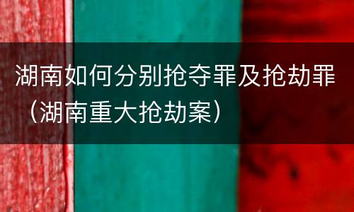 湖南如何分别抢夺罪及抢劫罪（湖南重大抢劫案）