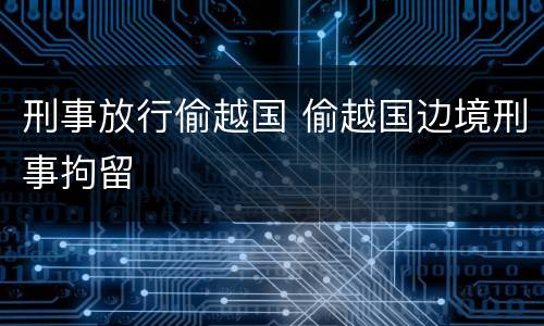 刑事放行偷越国 偷越国边境刑事拘留