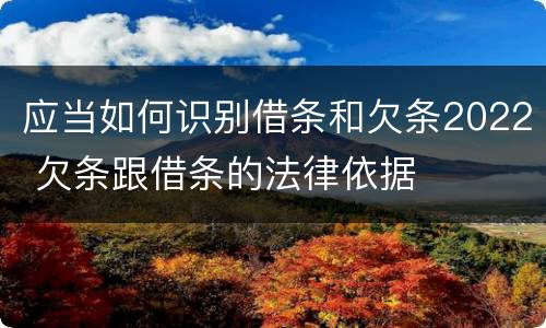 应当如何识别借条和欠条2022 欠条跟借条的法律依据