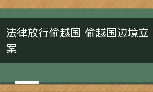 法律放行偷越国 偷越国边境立案