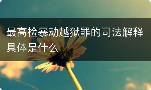 最高检暴动越狱罪的司法解释具体是什么
