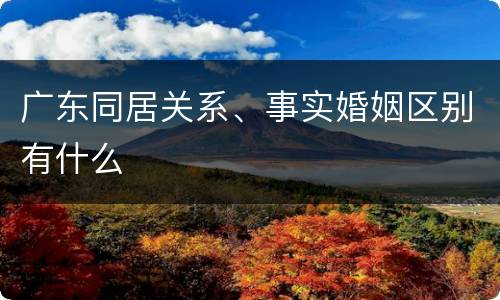 广东同居关系、事实婚姻区别有什么